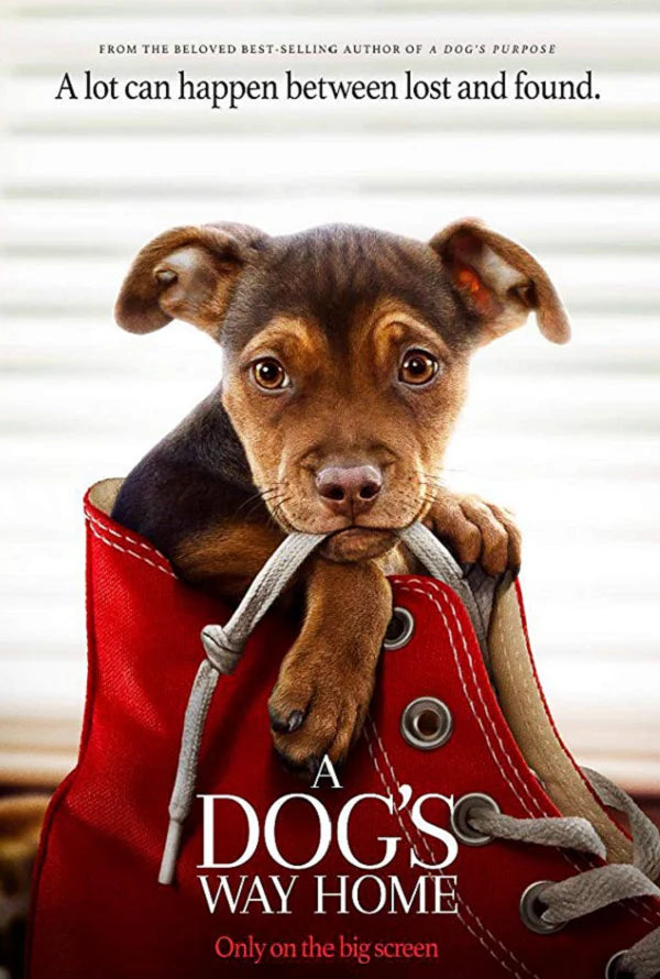 A DOG'S WAY HOME VUDU HD OR ITUNES HD VIA MOVIES ANYWHERE